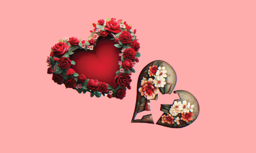 ভালোবাসা বনাম ভালোবাসা